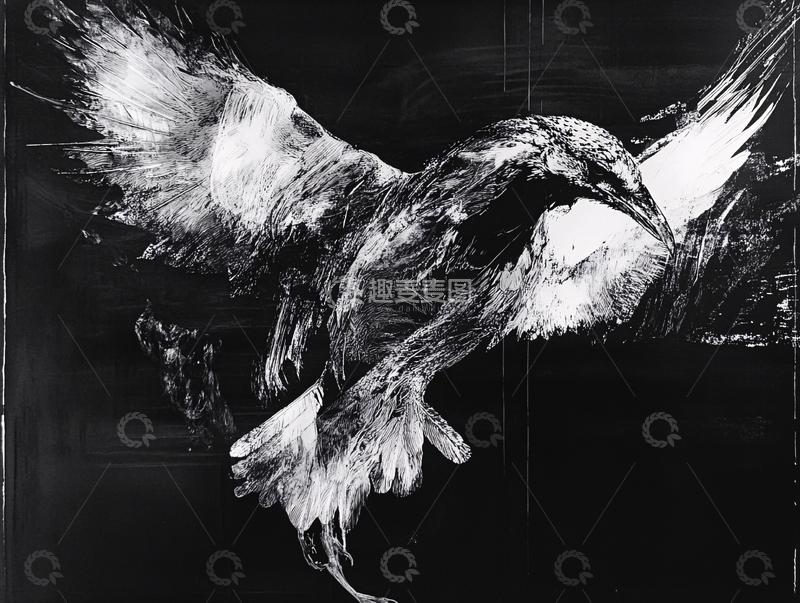 高清大图下载【趣麦麦图】黑白飞鸟绘画
