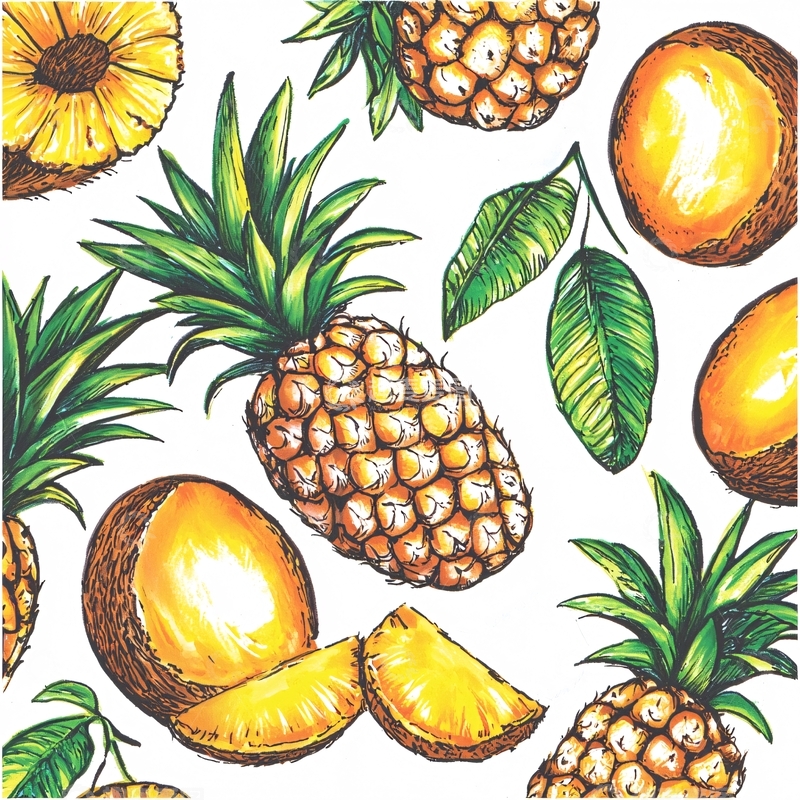 高清大图下载【趣麦麦图】菠萝手绘图案