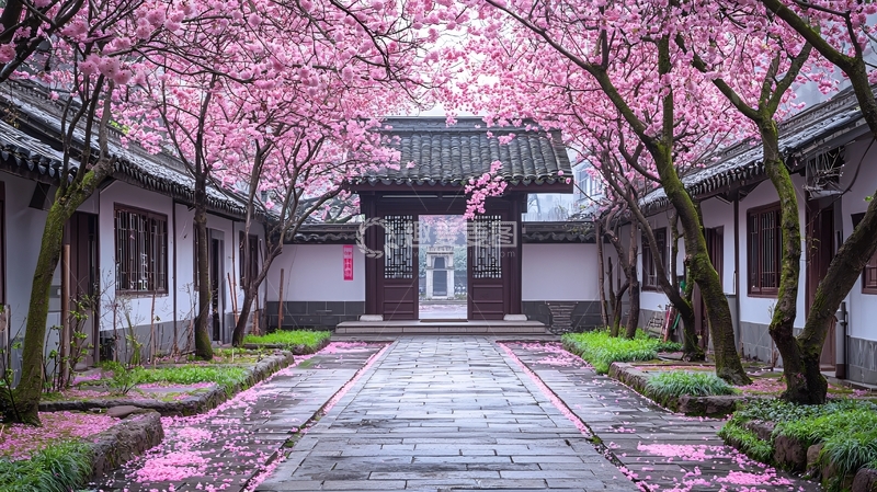 高清大图下载【趣麦麦图】樱花盛开的古建筑庭院