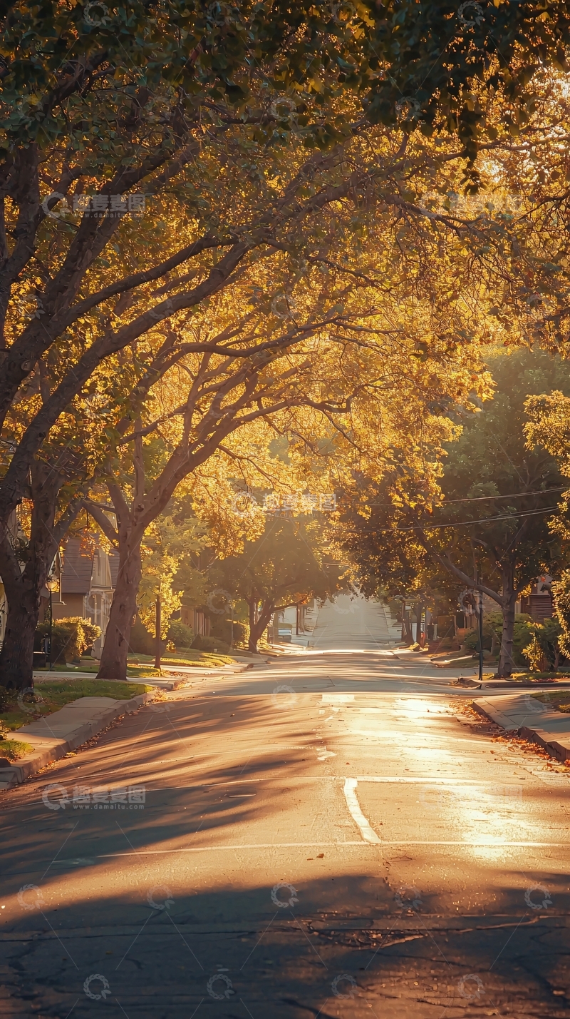 高清大图下载【趣麦麦图】阳光洒满林荫街道