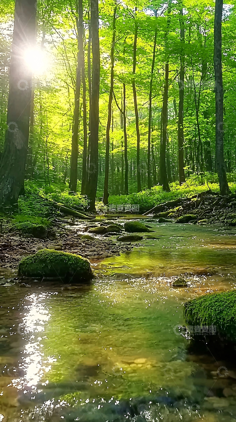 高清大图下载【趣麦麦图】阳光森林溪流