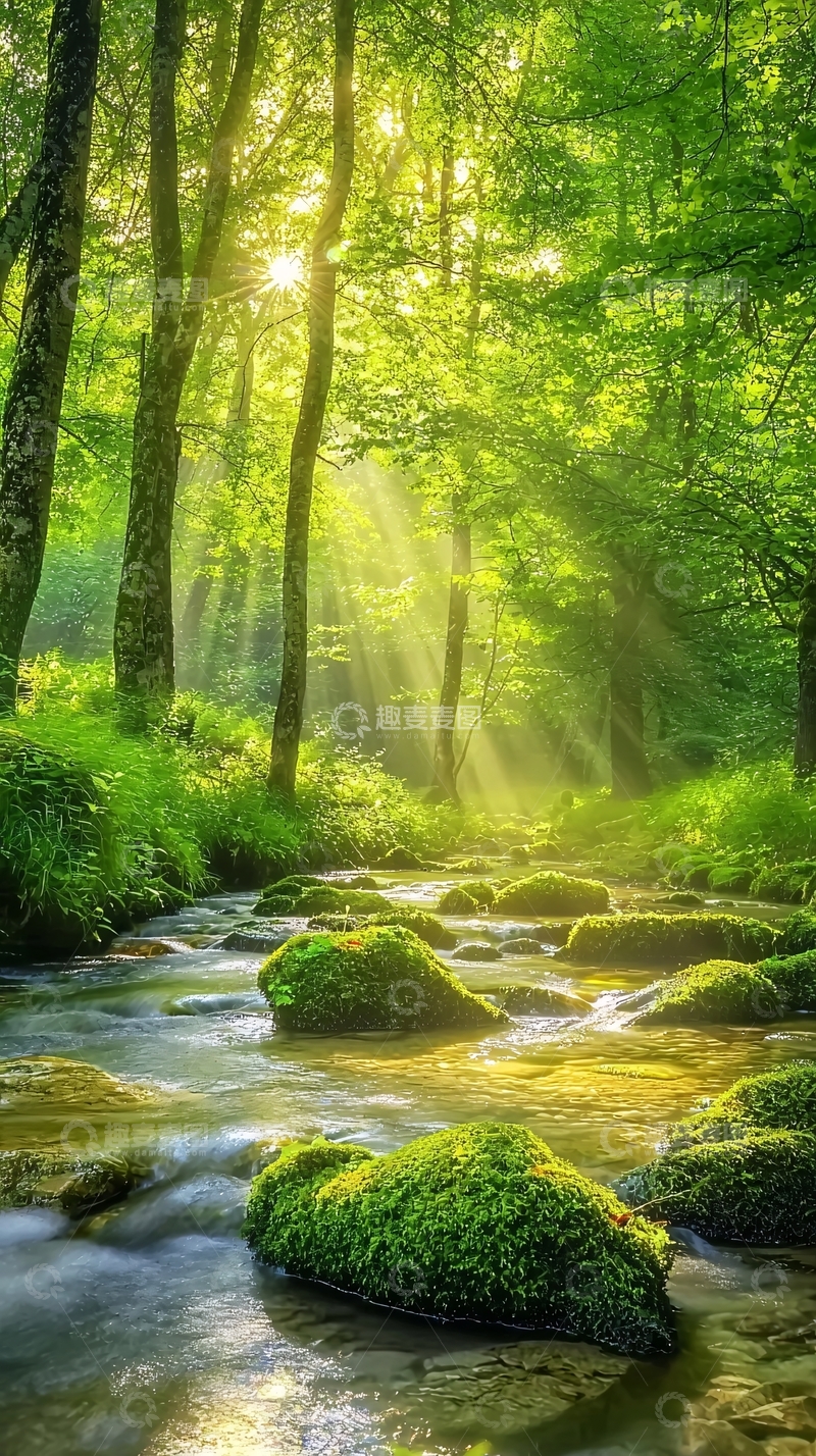 高清大图下载【趣麦麦图】阳光森林溪流
