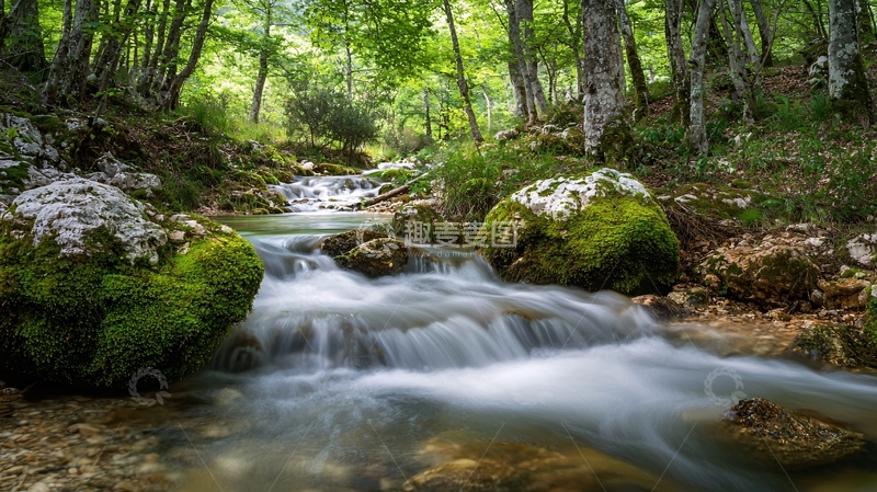 高清大图下载【趣麦麦图】森林溪流