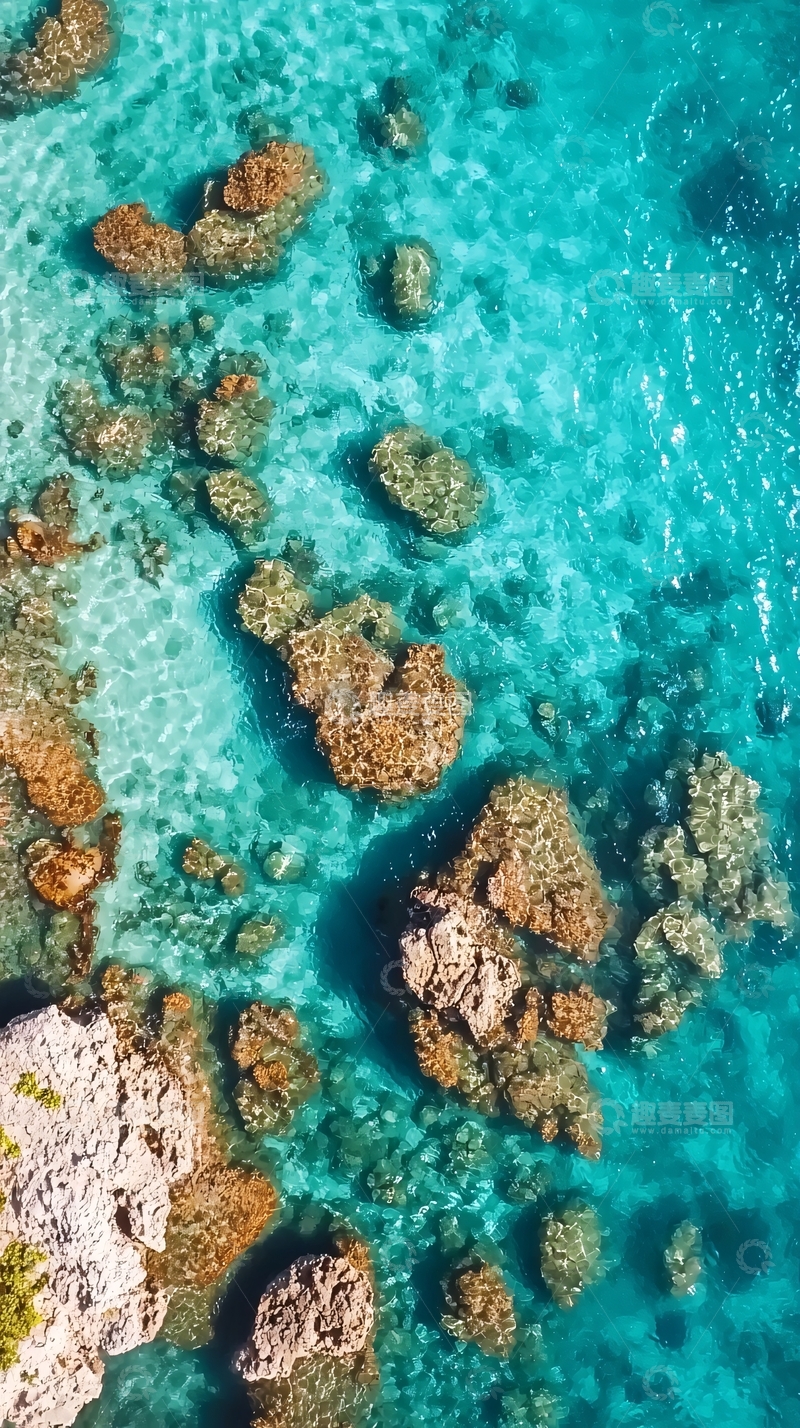 高清大图下载【趣麦麦图】清澈海水中的礁石