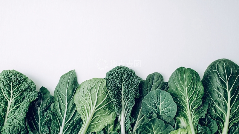 高清大图下载【趣麦麦图】绿色蔬菜叶子背景