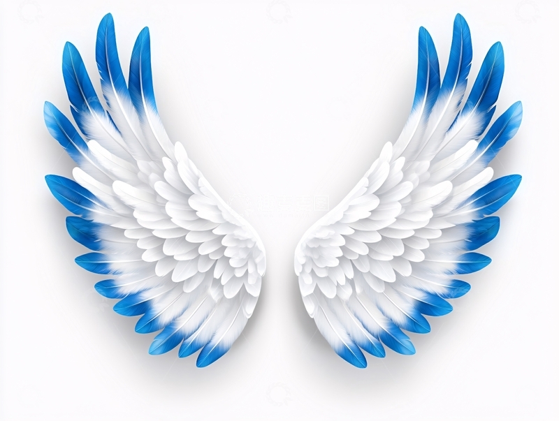 高清大图下载【趣麦麦图】蓝白羽毛翅膀