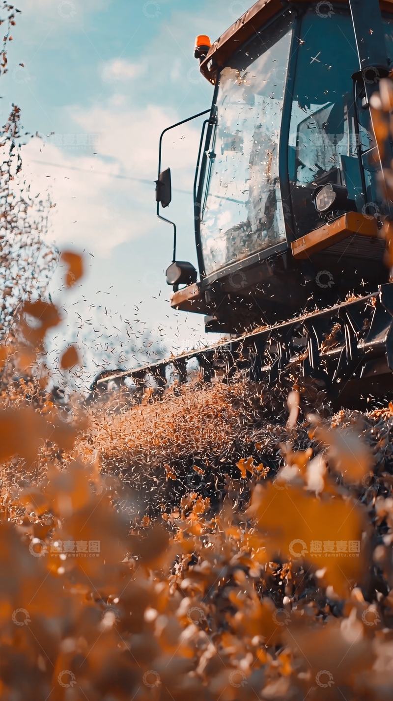 高清大图下载【趣麦麦图】收割机作业特写
