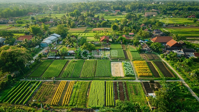 高清大图下载【趣麦麦图】田园风光169