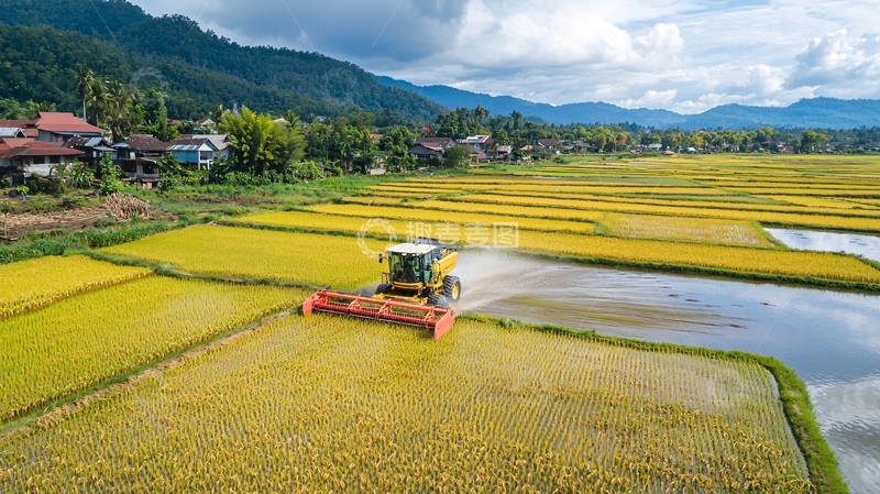 高清大图下载【趣麦麦图】水稻收割机作业