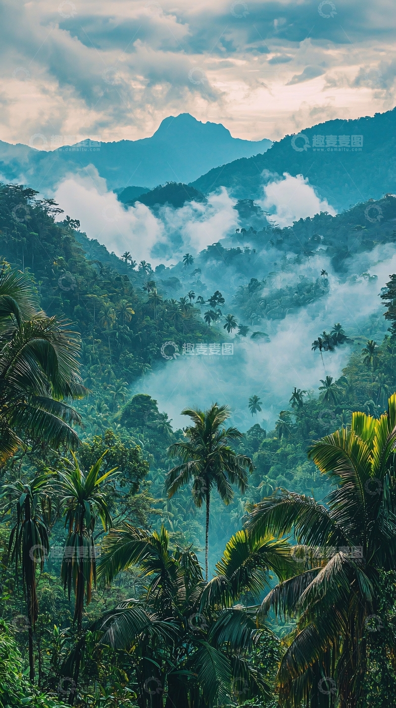 高清大图下载【趣麦麦图】云雾缭绕的热带雨林