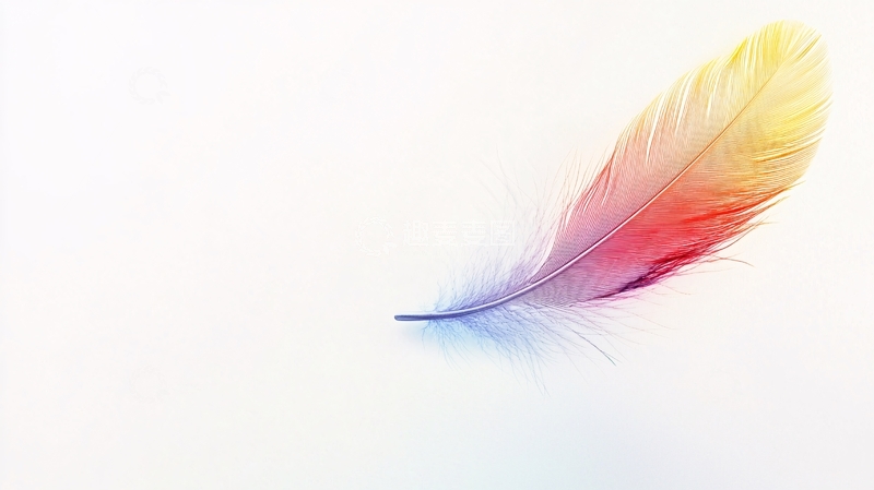高清大图下载【趣麦麦图】彩色羽毛