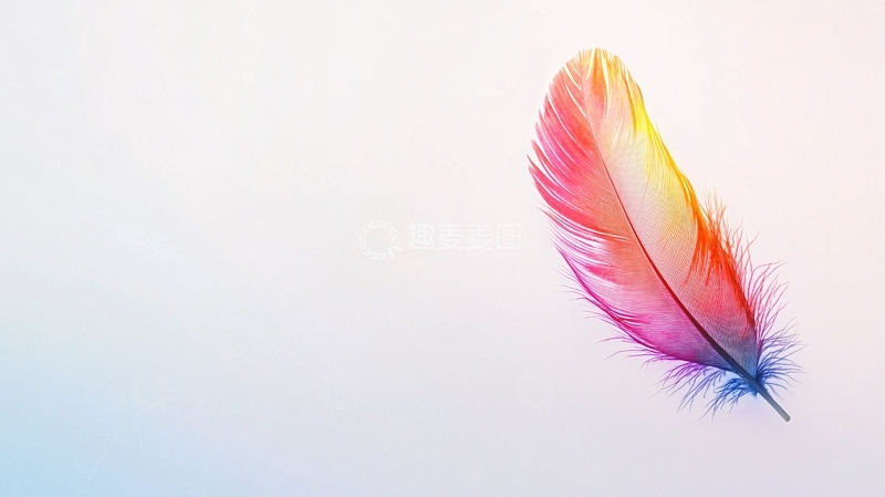 高清大图下载【趣麦麦图】彩色羽毛