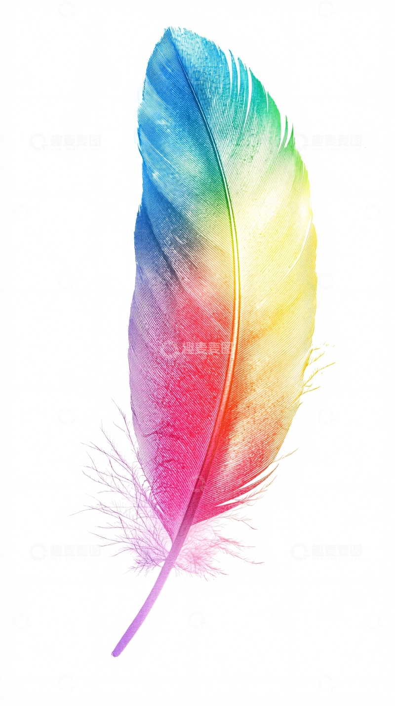 高清大图下载【趣麦麦图】彩虹羽毛