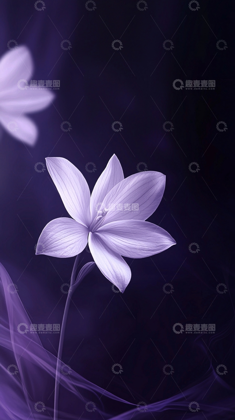 高清大图下载【趣麦麦图】紫色花朵