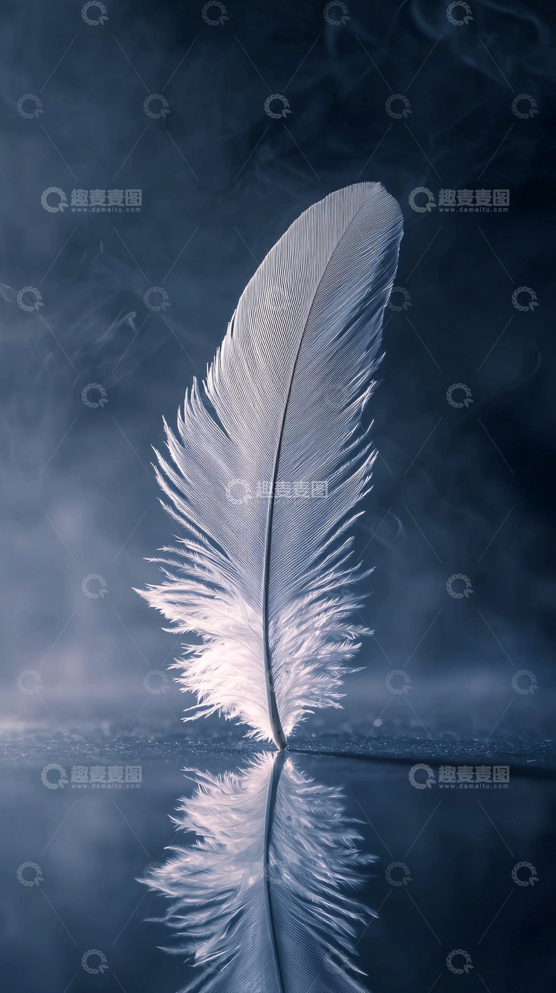 高清大图下载【趣麦麦图】烟雾背景下的一根白色羽毛