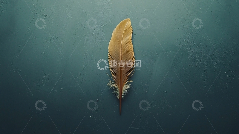 高清大图下载【趣麦麦图】单支金色羽毛