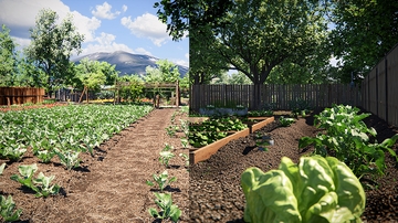 阳光下的田园蔬菜种植