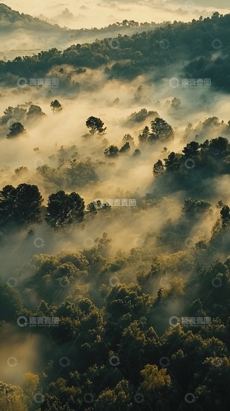 高清大图下载【趣麦麦图】雾气缭绕的山林景色