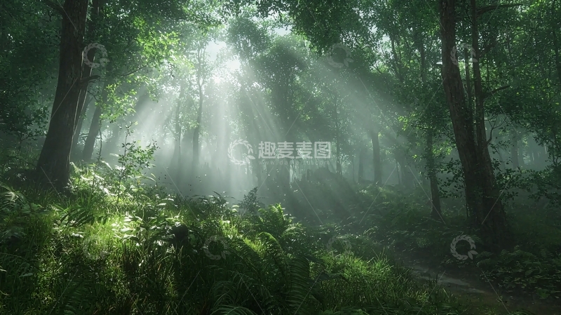 高清大图下载【趣麦麦图】阳光透过树林雾气