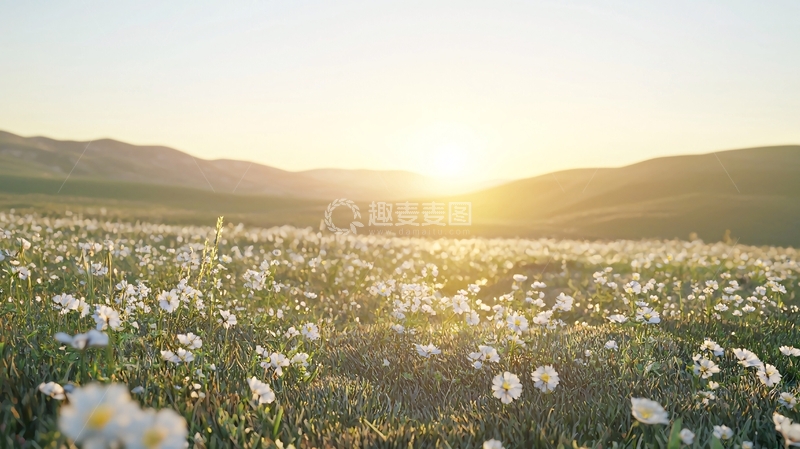 高清大图下载【趣麦麦图】日出时分