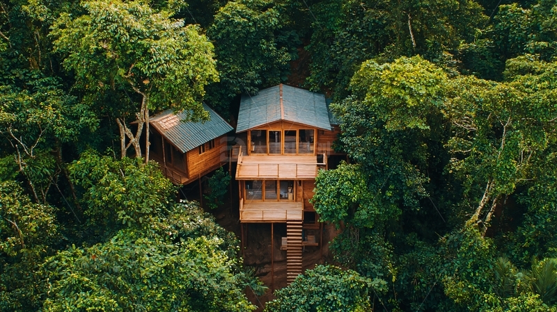 高清大图下载【趣麦麦图】树顶小屋