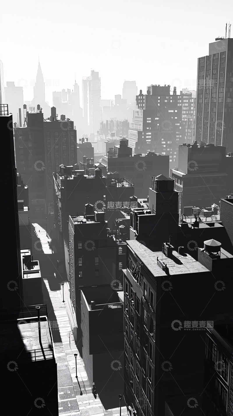 高清大图下载【趣麦麦图】黑白城市街景俯瞰图