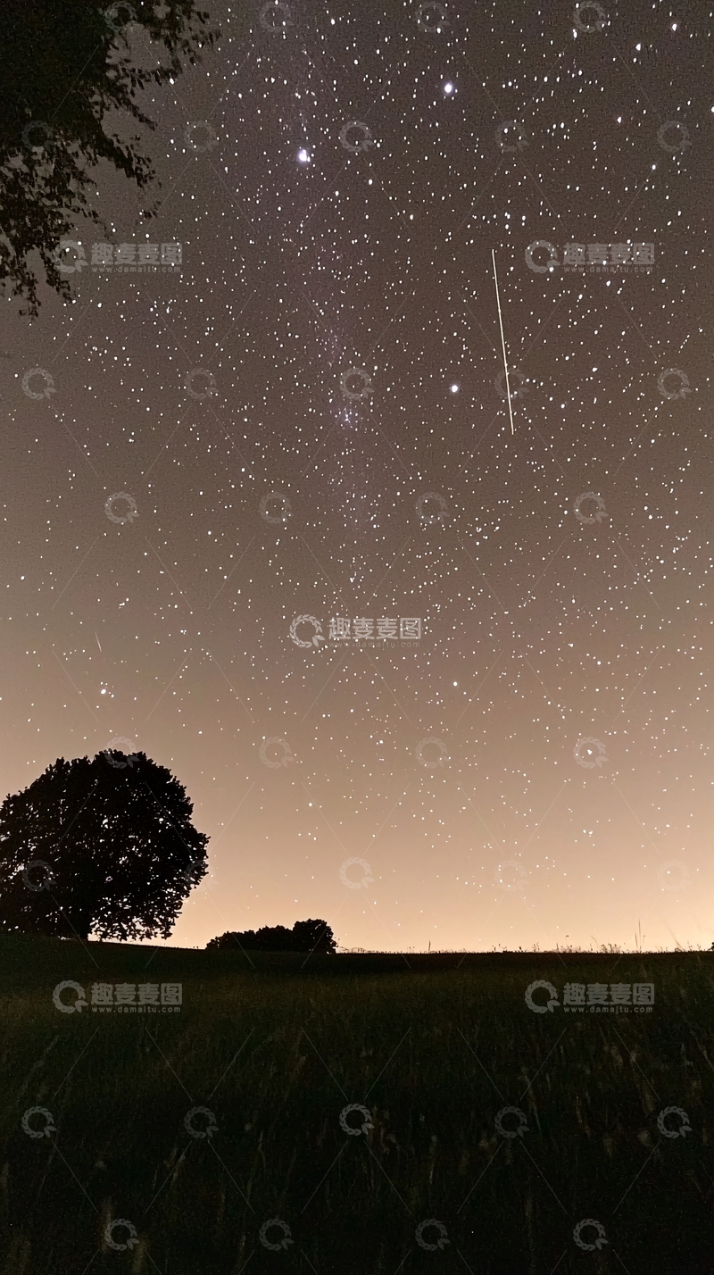高清大图下载【趣麦麦图】星空树影