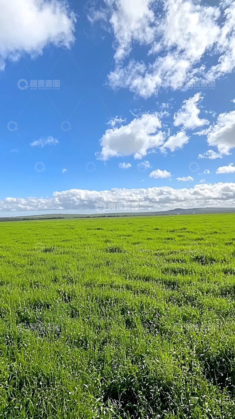 高清大图下载【趣麦麦图】碧蓝天空下的广阔绿地