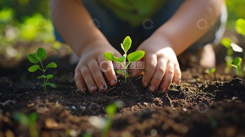高清大图下载【趣麦麦图】儿童种植幼苗