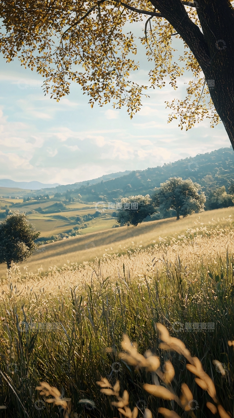 高清大图下载【趣麦麦图】树荫下金色的田野