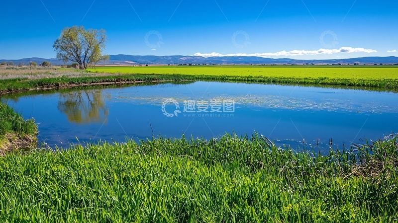高清大图下载【趣麦麦图】田园风光182