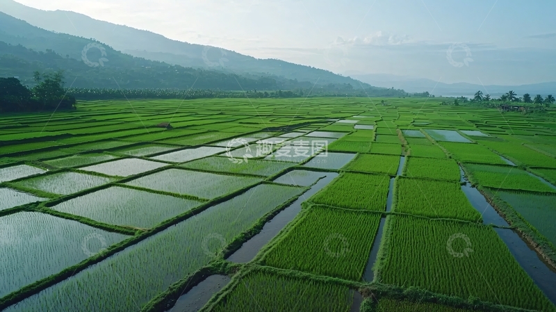 高清大图下载【趣麦麦图】梯田