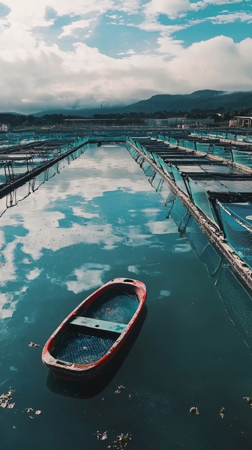 平静水面上的小船