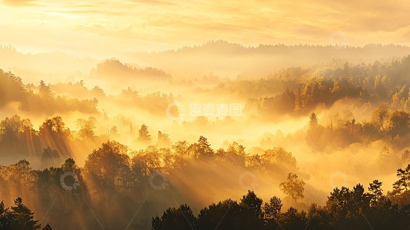 高清大图下载【趣麦麦图】金光笼罩山谷晨雾