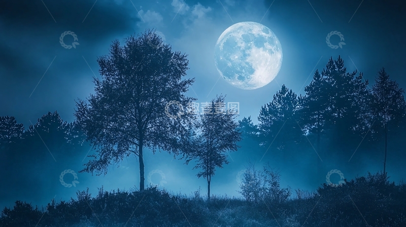 高清大图下载【趣麦麦图】月光森林