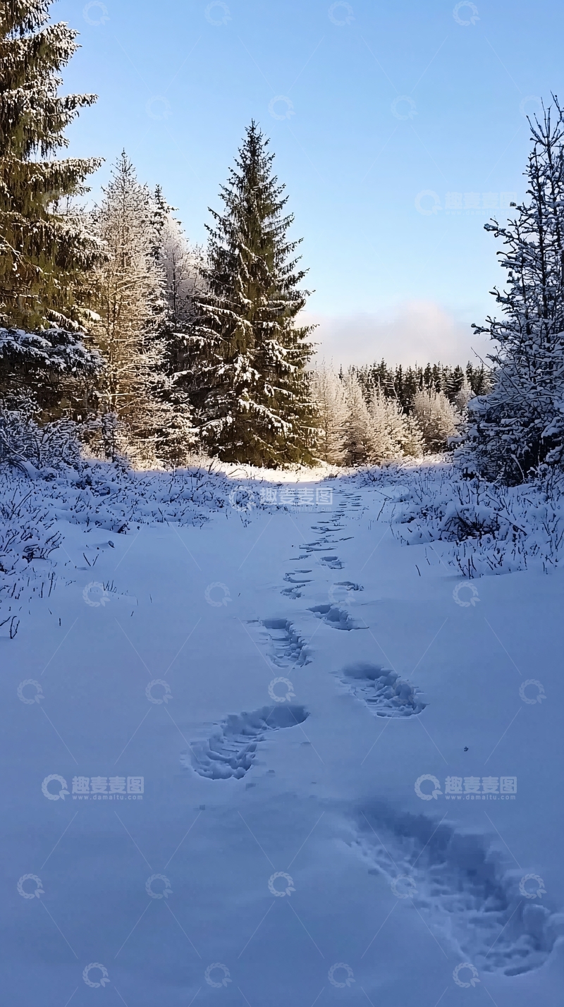 高清大图下载【趣麦麦图】雪地里的脚印