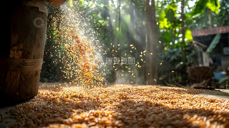 高清大图下载【趣麦麦图】阳光下倾倒谷物