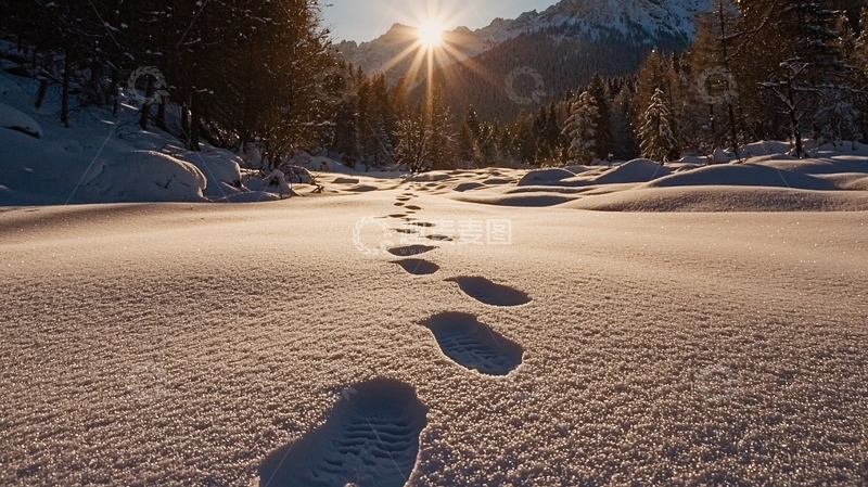 高清大图下载【趣麦麦图】雪地里的足迹