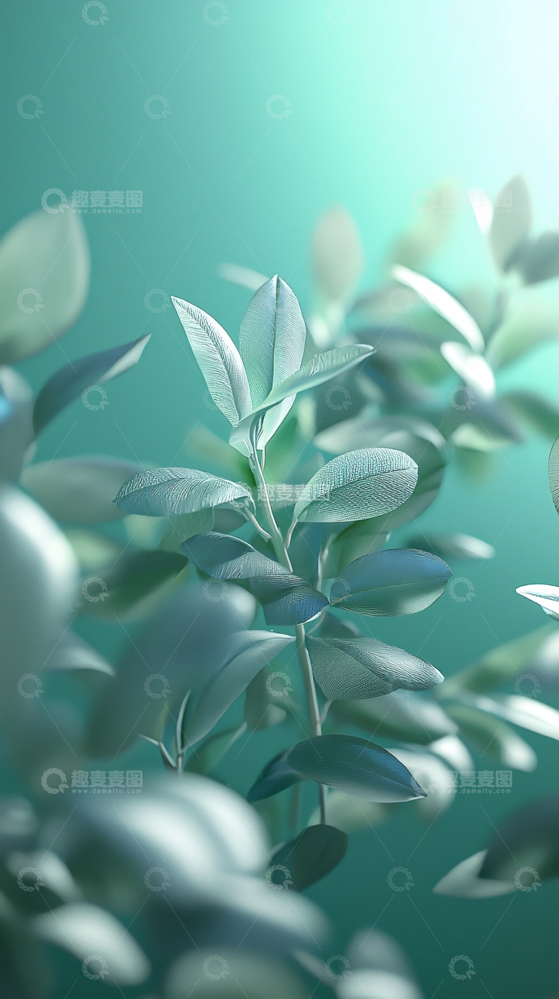 高清大图下载【趣麦麦图】清新淡雅的植物枝叶特写