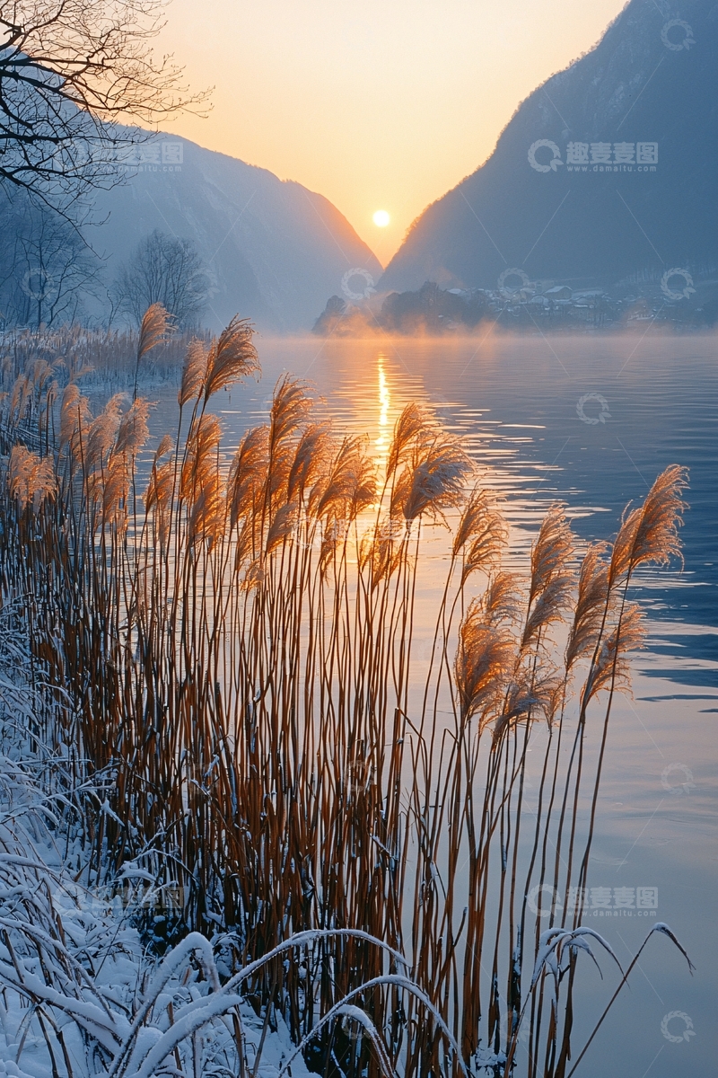 高清大图下载【趣麦麦图】湖边芦苇日出美景