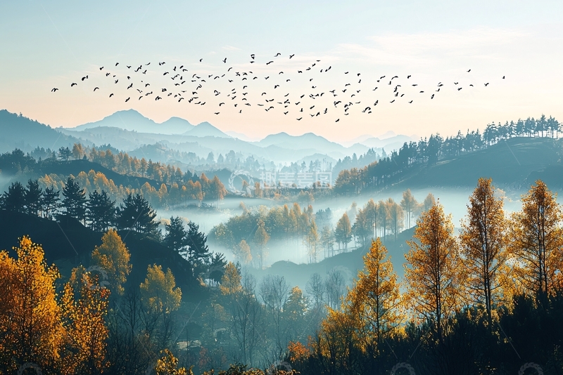 高清大图下载【趣麦麦图】雾气笼罩的山林飞鸟群