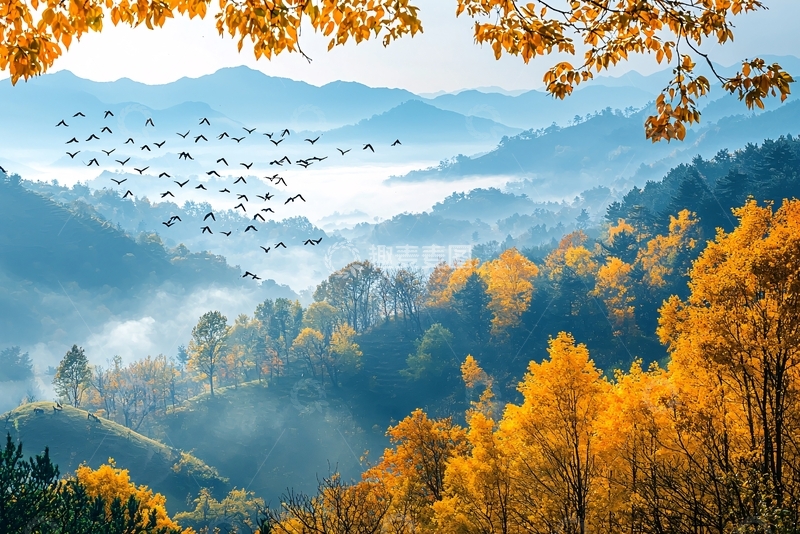 高清大图下载【趣麦麦图】秋日山间云雾缭绕