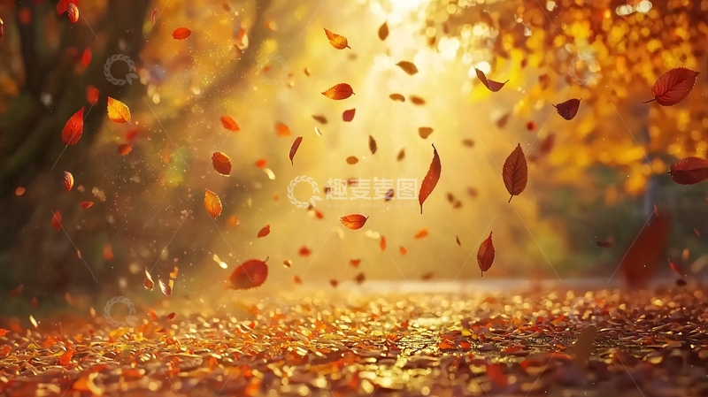 高清大图下载【趣麦麦图】秋叶飘落金色阳光森林小路
