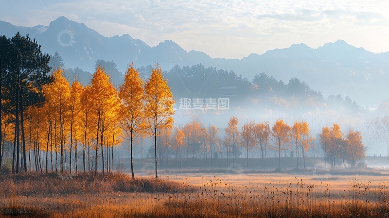 高清大图下载【趣麦麦图】秋日山林雾霭