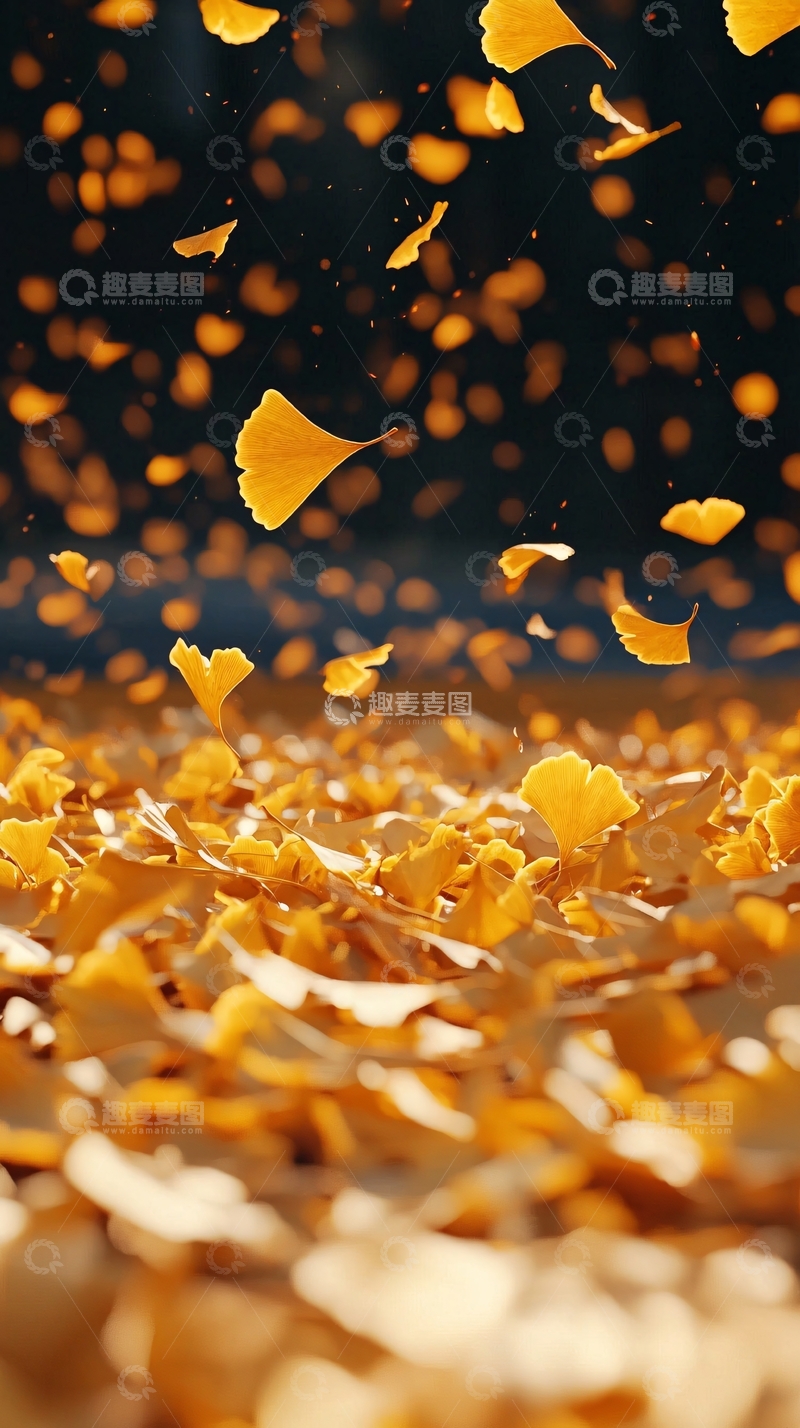 高清大图下载【趣麦麦图】金黄落叶纷飞的唯美意境