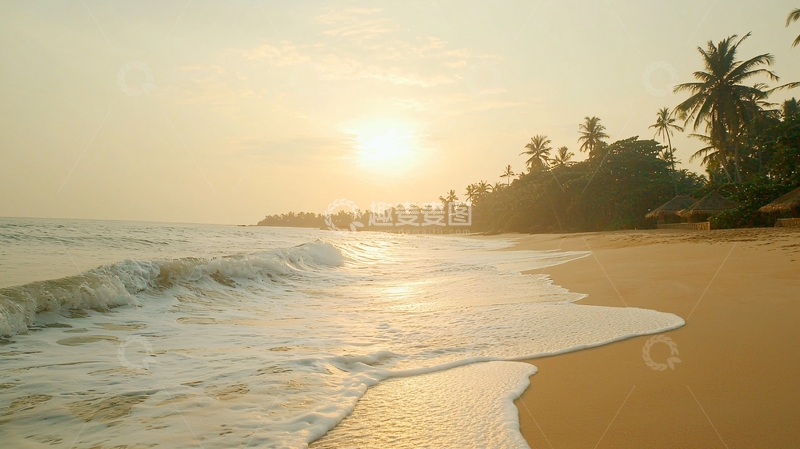 高清大图下载【趣麦麦图】日出海滩椰树