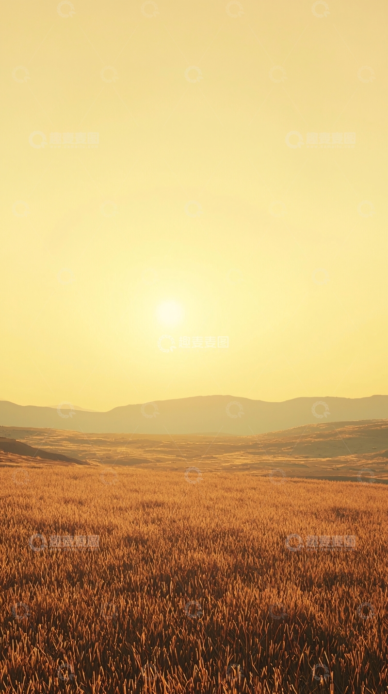 高清大图下载【趣麦麦图】金色麦田日落