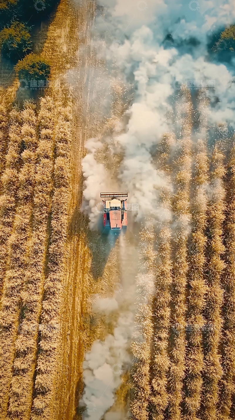 高清大图下载【趣麦麦图】收割机在田野里作业