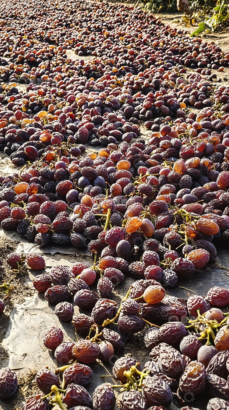 高清大图下载【趣麦麦图】阳光下晒干的葡萄