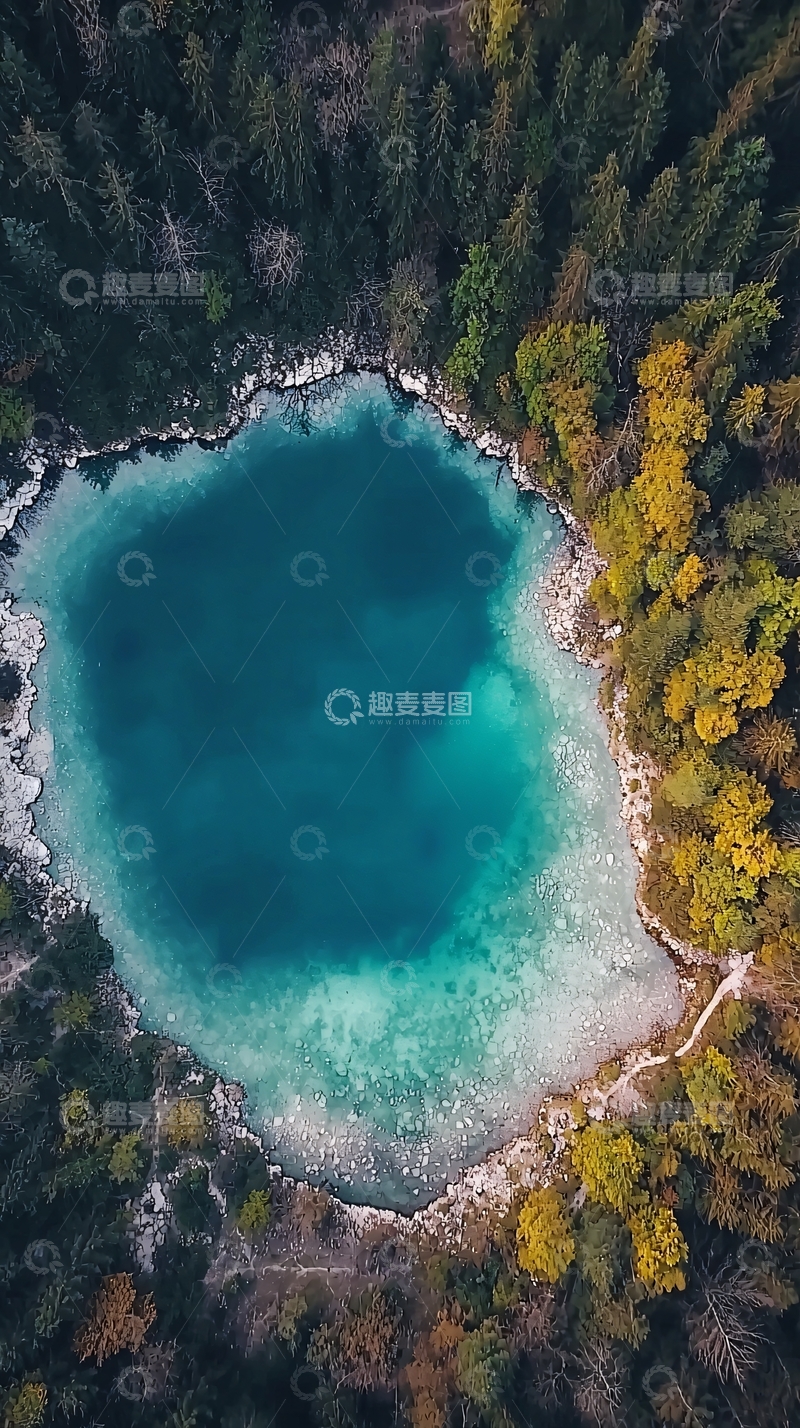 高清大图下载【趣麦麦图】高空俯瞰森林环绕的碧蓝湖泊